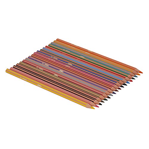 24 crayons de couleur Motif rayures Couleurs assorties - BIC Kids Evolution