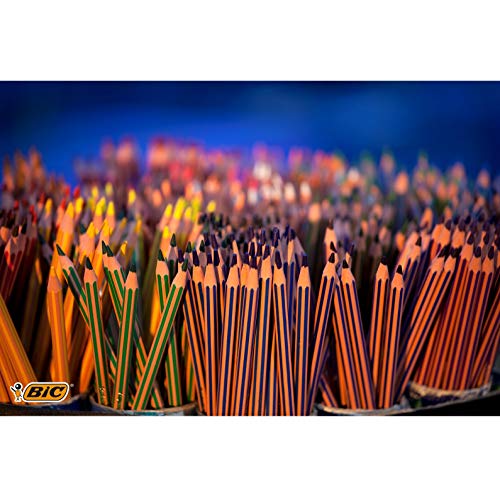 BIC Kids Evolution Rayures Crayons de couleur – Couleurs assorties (Lot de 12)