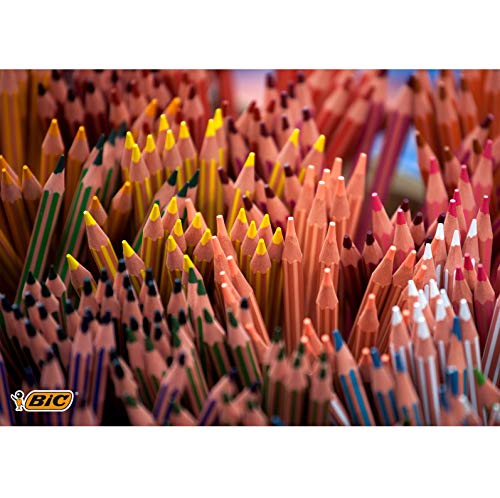 BIC Kids Evolution Rayures Crayons de couleur – Couleurs assorties (Lot de 12)