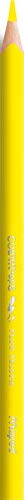 Maped - Crayons de Couleur STRONG Color'Peps - 12 Crayons de Coloriage Ultra-résistants et Ergonomique - Pochette de 12 Crayons