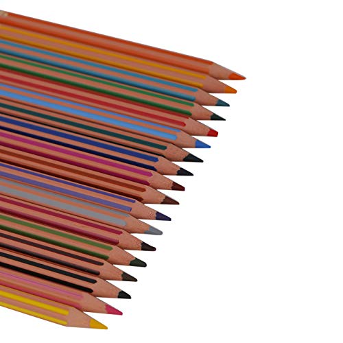 BIC Kids Evolution Lot de 24 crayons de couleur Motif rayures Couleurs assorties
