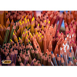BIC Kids Evolution Rayures Crayons de couleur – Couleurs assorties (Lot de 12)
